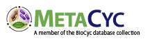 MetaCyc Metabolic Pathway Database