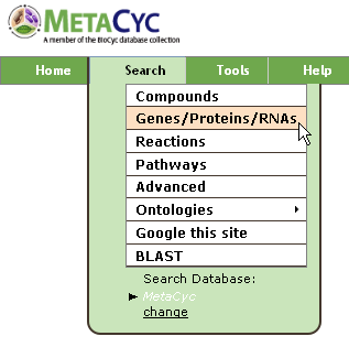 MetaCyc Query Top Page for Gene Querying
