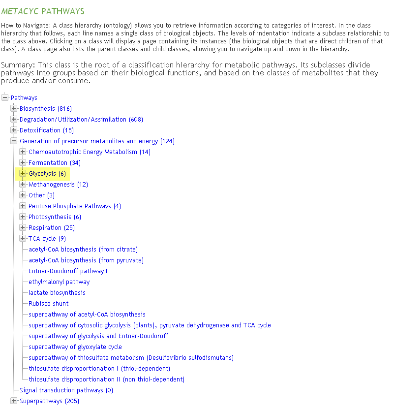 MetaCyc Ontology Browsing