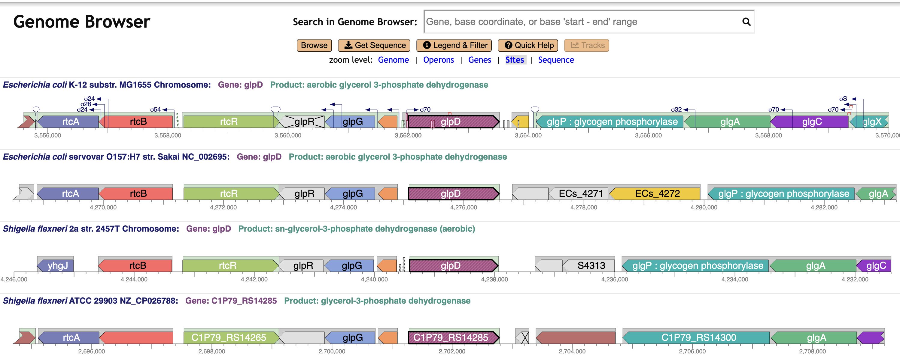 Comparative Genome Browser Image
